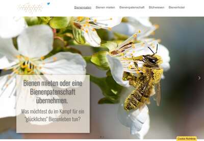 Bienenpaten.eu - Corporate Social Responsibility von Unternehmen st�rken